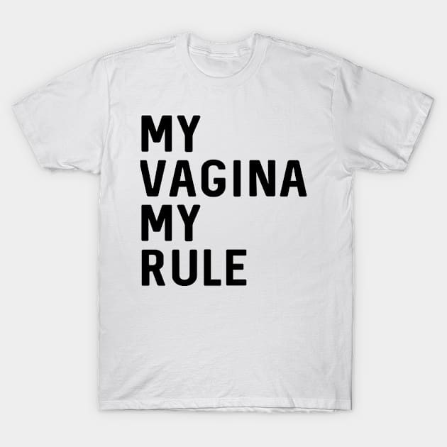 Feminist | My Vagina My Rule T-Shirt by hothippo